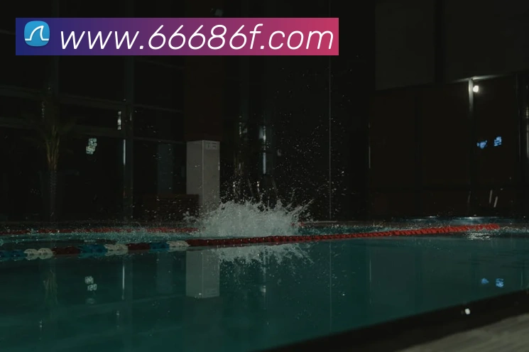 6686APP 封面图